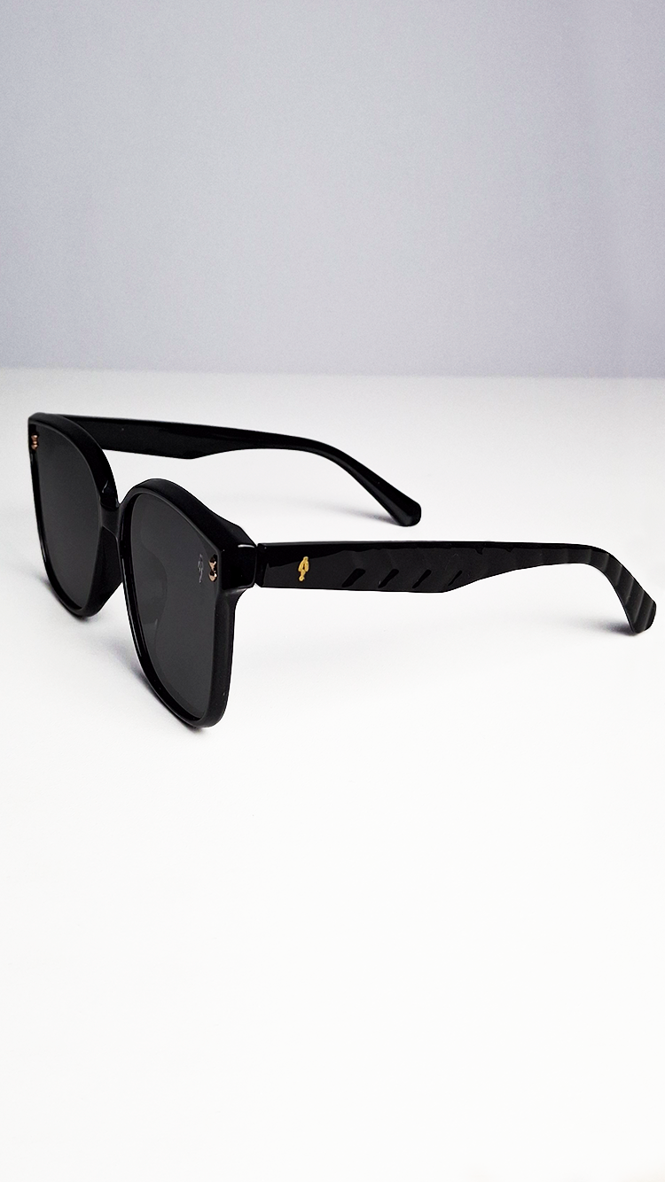 Óculos de Sol Preto Lente Preta RM1015