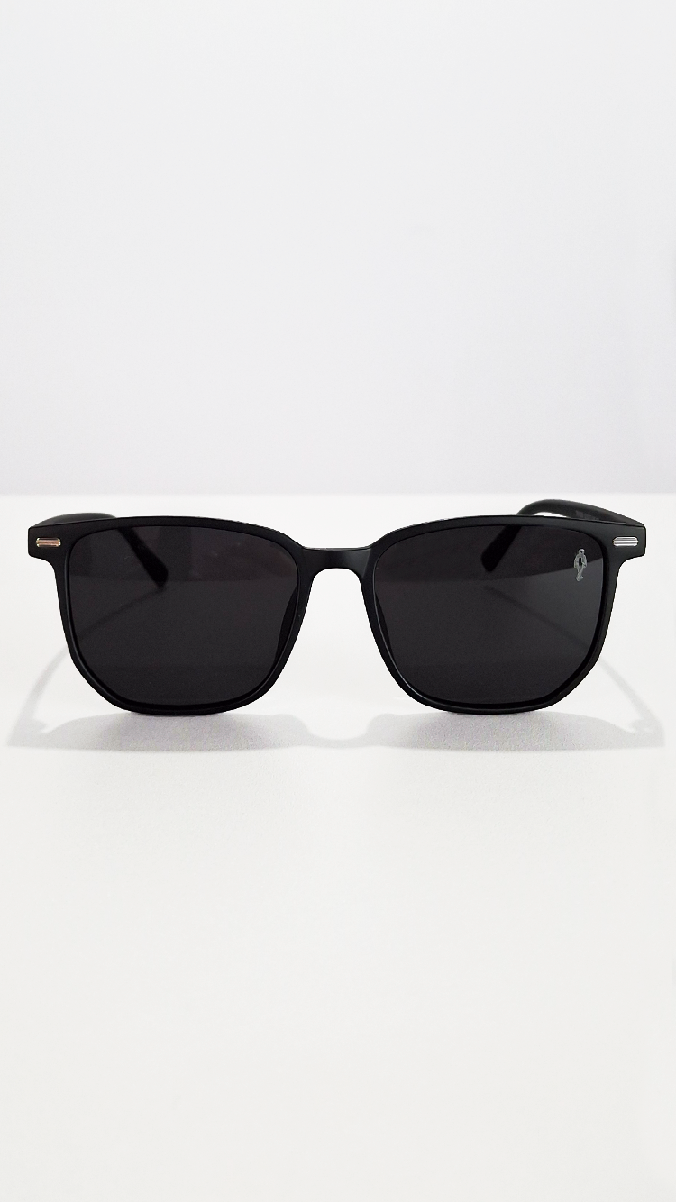 Óculos de Sol Preto Fosco Lente Preta SL9603