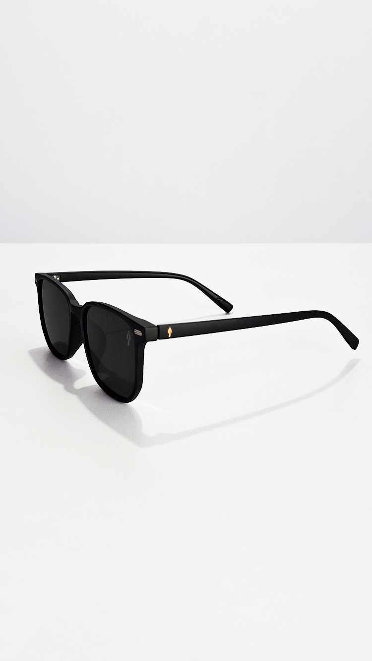 Óculos de Sol Preto Fosco Lente Preta SL9603